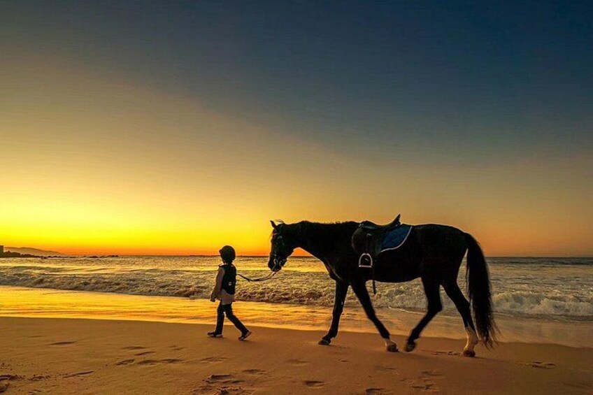 En person rider en hest på en strand ved solnedgang. 3