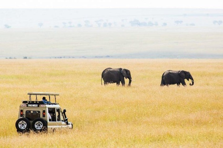 Tarangire National Park Day Trip 3