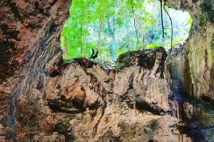 L'ingresso di una grotta con stalattiti e vista su una zona boschiva. 3