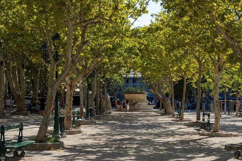 Place des Lices: The soul of the village under the century-old plane trees, famous for its pétanque games and Point of Sale. 2