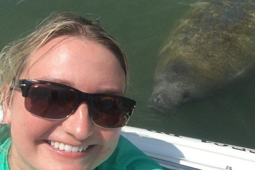 Manatees and Wildlife 2