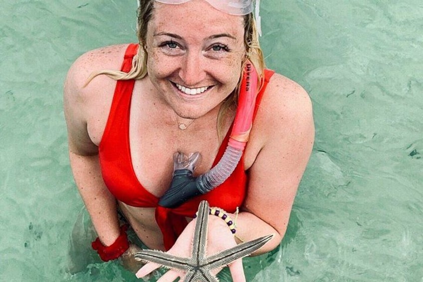 A person in a red swimsuit holding a starfish in clear water. 3