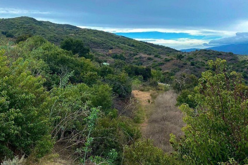 A mountainous landscape with dense greenery and a dirt path. 3