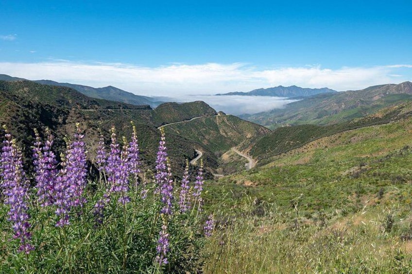 A mountain landscape with purple flowers in the foreground and a winding road through the valley. 2