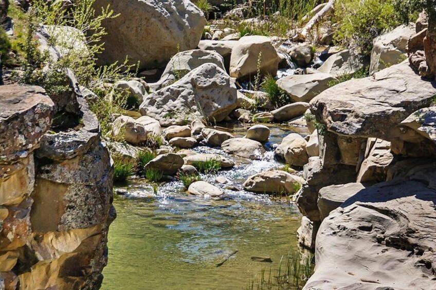 Private Shelf Road Hike Tour in Ojai Valley 2