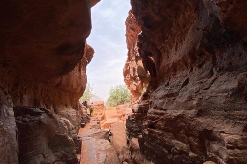 4 Hour Jeep Tour Morning or Sunset Wadi Rum Desert Highlights 5
