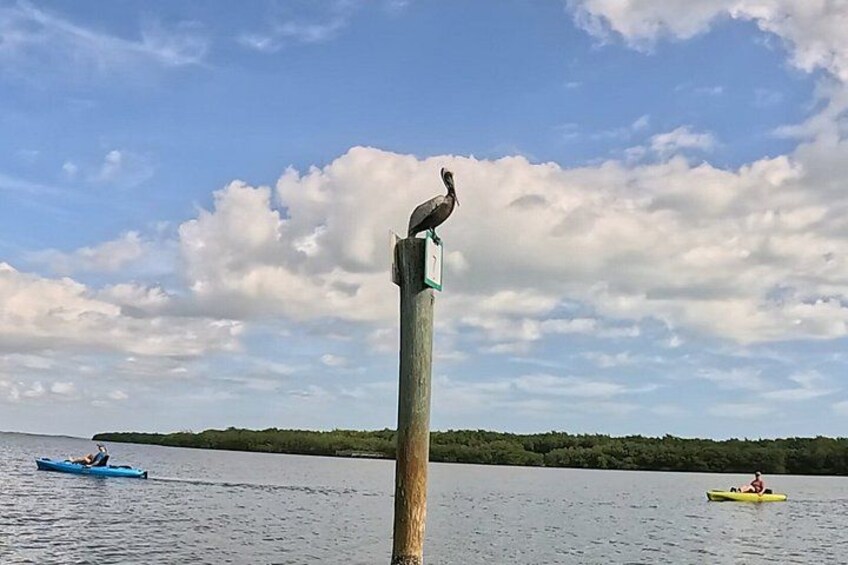 Ein hölzernes Pfosten mit einer Vogel-Skulptur, ruhiges Wasser, Kajaks und eine ferne Küstenlinie. 2