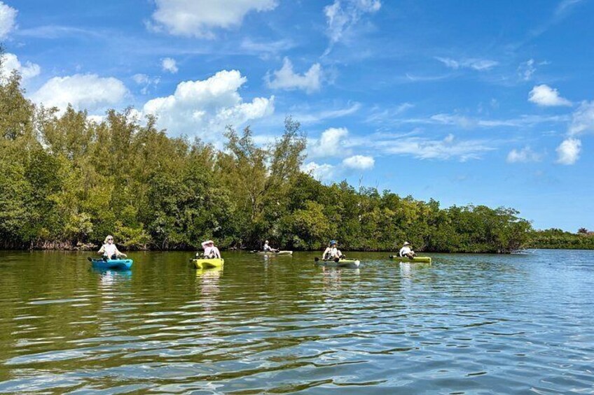 Kickin’ Kayaks Morning Wildlife Tour 4