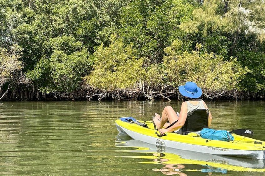 Eine Person sitzt in einem gelben Kajak auf ruhigem Wasser, im Hintergrund dichtes Grün. 3