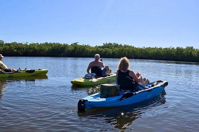 Menschen paddeln auf einem ruhigen Fluss. 1