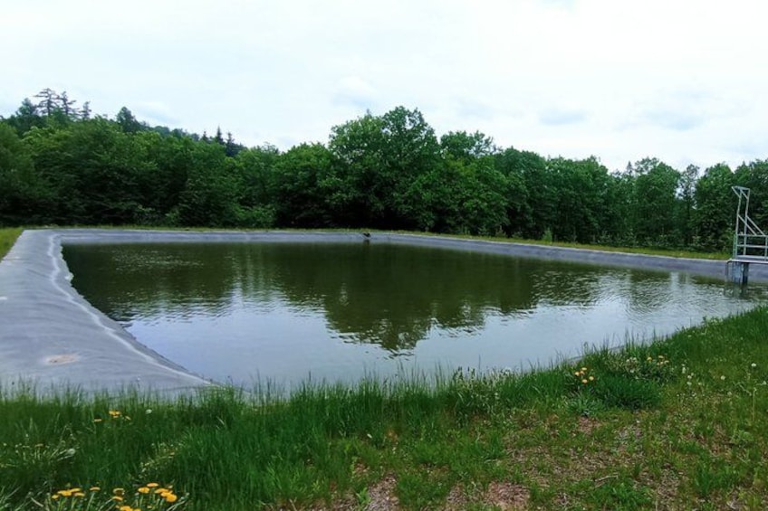 A calm pond surrounded by lush greenery and a concrete path. 1