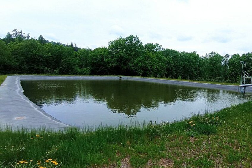 A calm pond with a concrete walkway and a metal ladder. 1