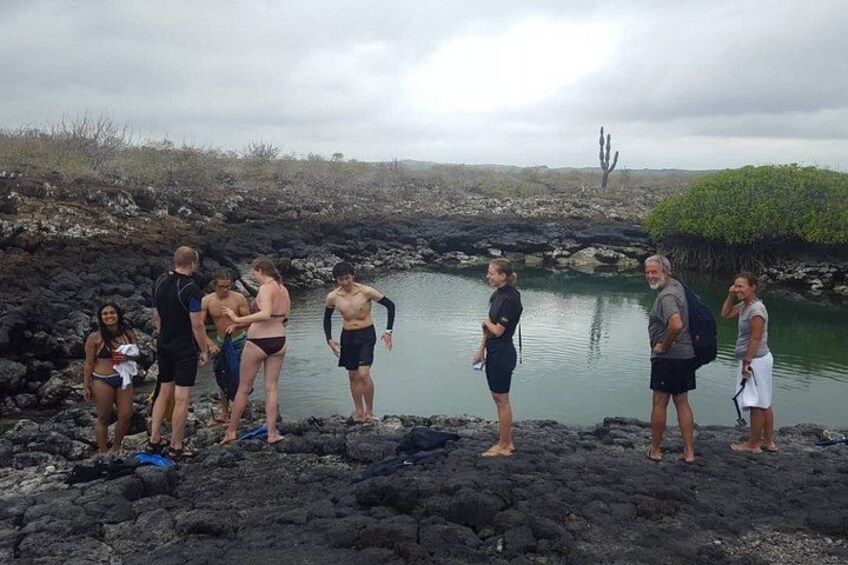 Un gruppo di persone in piedi su una riva rocciosa, con una distesa d'acqua e un cactus sullo sfondo. 5