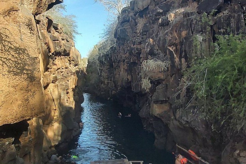 Un canyon stretto con un fiume, pareti rocciose e vegetazione rada. 3