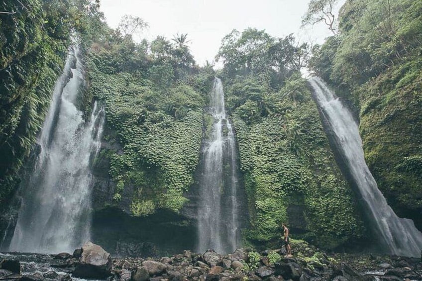 Bali Sekumpul, Banyumala Waterfalls and Rice Terrace UNESCO Tour 3