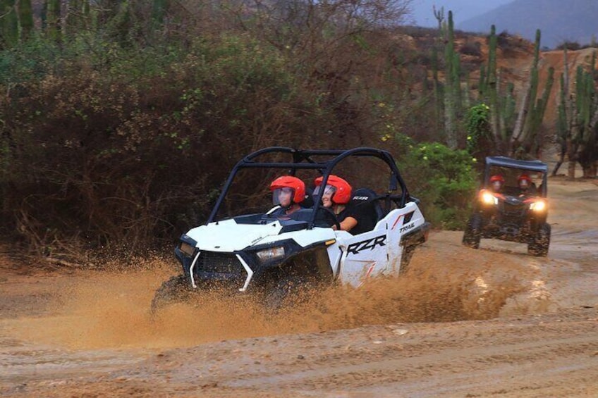 Side by Side Adventure in Los Cabos UTV Experience 4