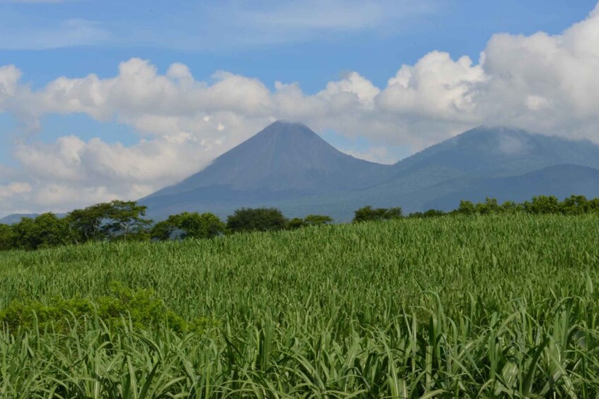 Picture 12 for Activity San Salvador: Santa Ana Volcano Hike with Lakes 5