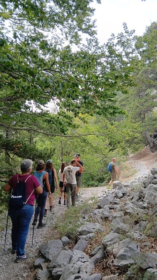 Picture 6 for Activity Pollino Park: Guided Trekking Rue-ping-Timpa Castello 2