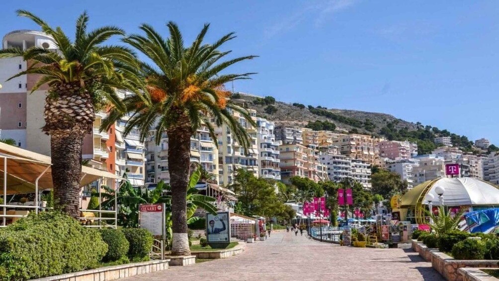 Una strada costiera fiancheggiata da palme e edifici a più piani. 2