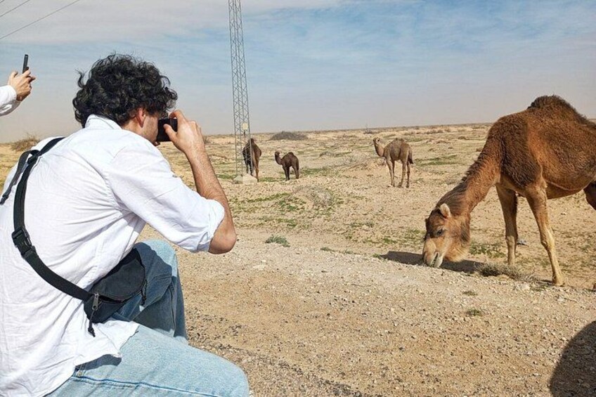 2 - Day Tour: Discover Tunisia’s Heritage from North to Sahara 2