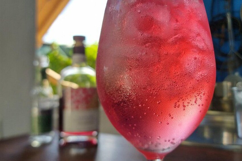 Primer plano de una bebida roja con hielo en un vaso, una botella desenfocada al fondo y una mesa de madera. 2