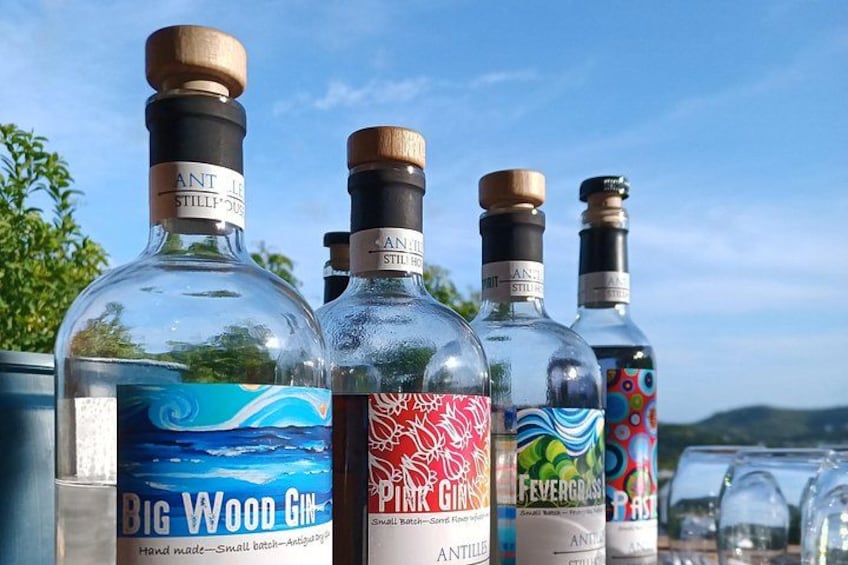 Cuatro botellas de ginebra con etiquetas, ubicadas al aire libre frente a un cielo despejado y follaje verde. 4