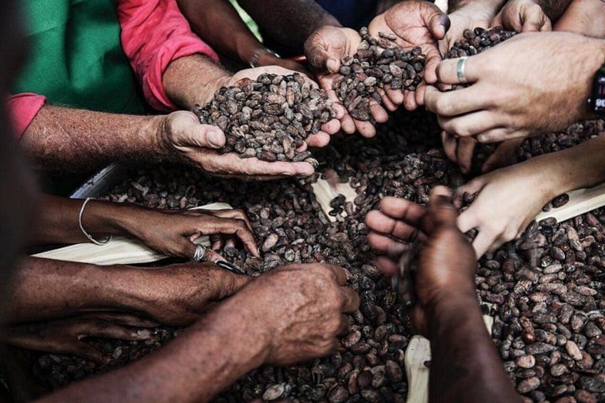 Un grupo de personas sosteniendo granos de café. 2