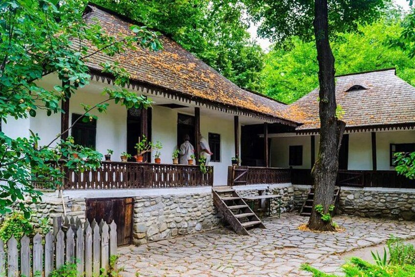 Bucharest Highlights Tour: Parliament, Ceausescu & Village Museum 5