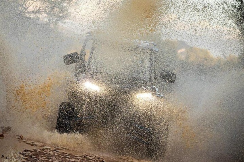Buggy 2-seater and 4-seater Off-On Road Tour in Mallorca 4
