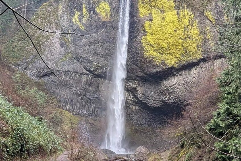 Waterfalls and Legends: A Columbia River Gorge Self-Guided Drive 4