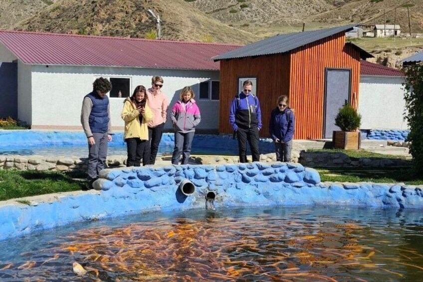Un groupe de personnes se tient près d’un étang où nagent des poissons. 4