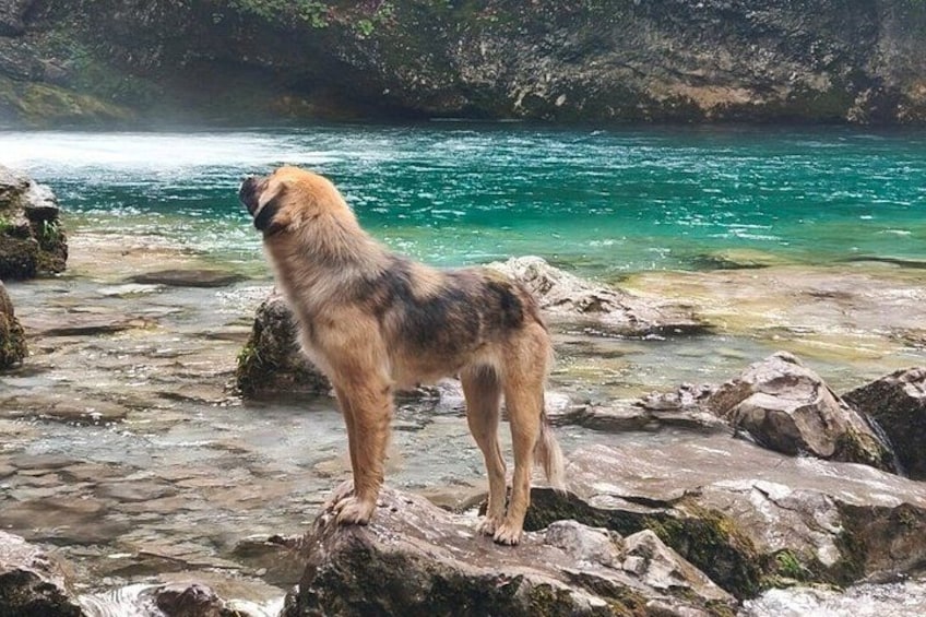 One Day Tour in Theth National Park and Grunas Waterfall 4