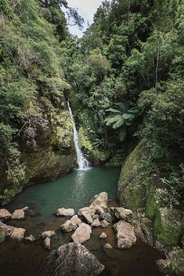 A waterfall in a lush forest with rocks in the foreground. 4