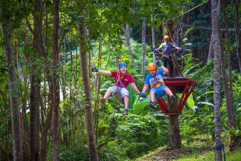 Two people on a zipline in a forest. 1