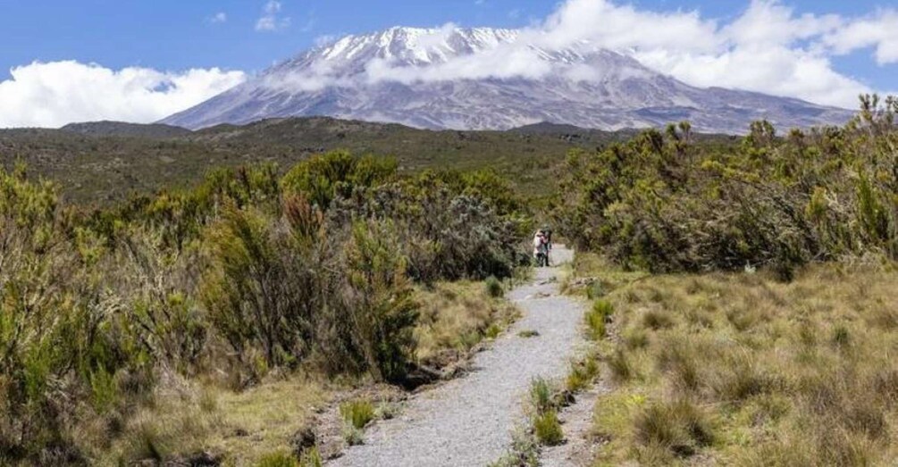 A gravel path leading to a mountain with snow-capped peaks. 4