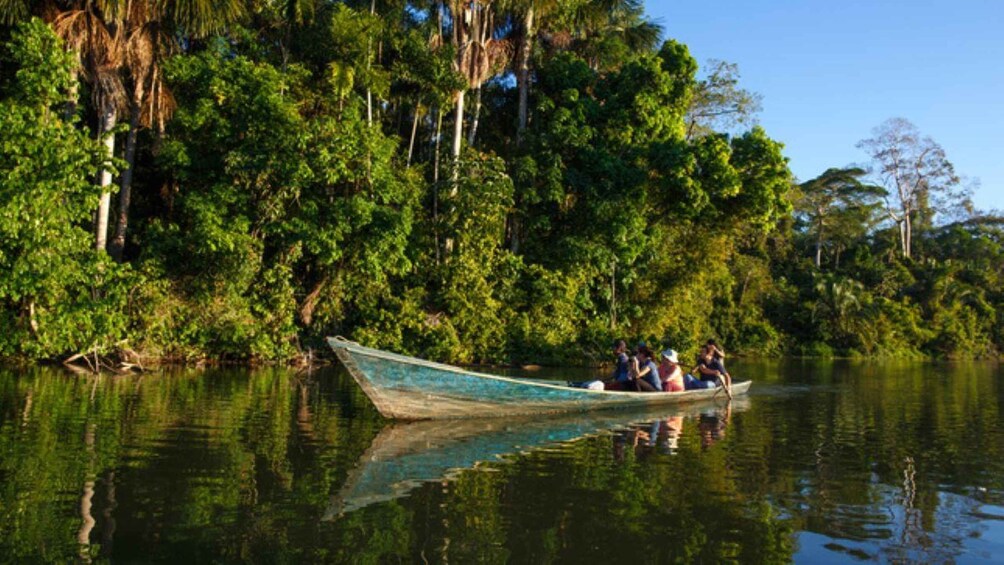 A boat with people on a calm river surrounded by dense greenery. 1