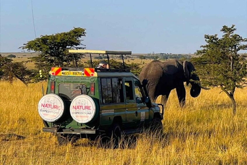 A safari vehicle with 'Nature Expeditions' branding parked in a grassy field with an elephant nearby. 2