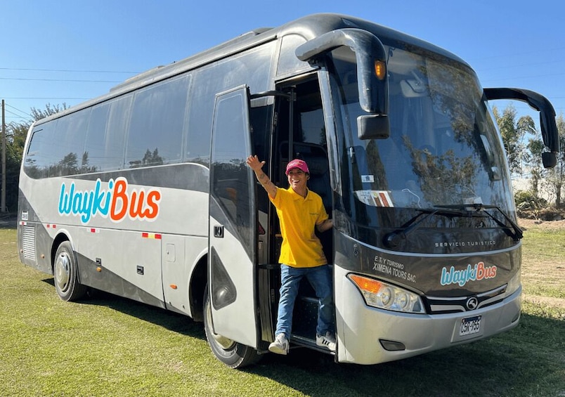 A bus with 'WaykiBus' written on its side parked on grass. 3