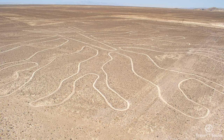 Picture 2 for Activity Bus Huacachina (ICA) - Nazca. ONE WAY 5