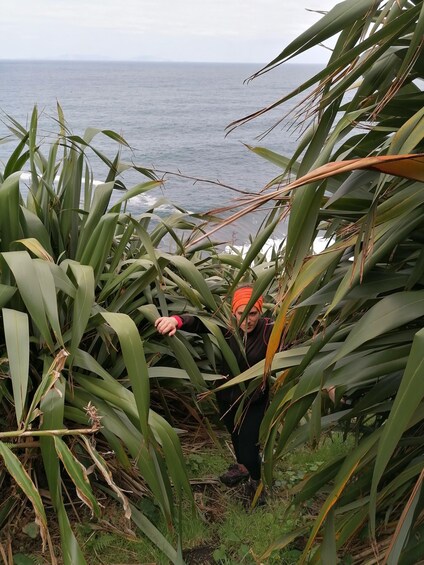 A person among tall green plants near the ocean. 3