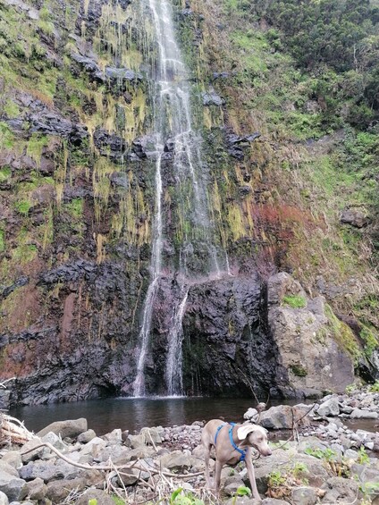A waterfall cascading down a rocky cliff into a pool below. 4
