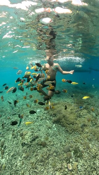 A person swimming underwater surrounded by various fish. 3
