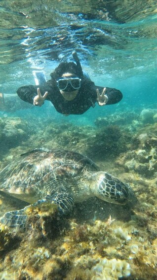 A diver making a peace sign underwater with a sea turtle in the background. 2