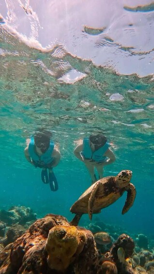 Two people snorkeling underwater with a sea turtle. 3