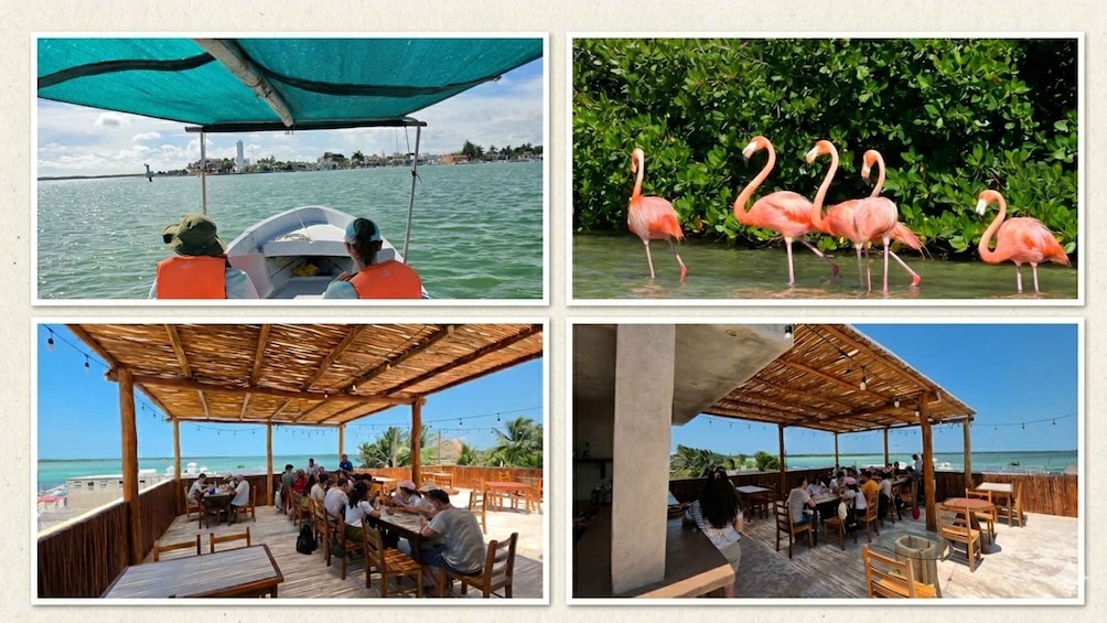 A boat on water, flamingos, and outdoor dining areas. 1