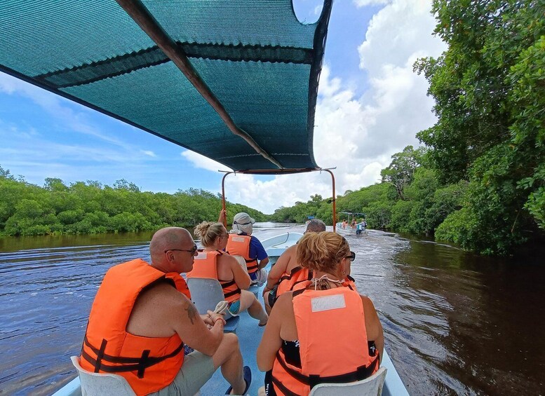 People in a boat wearing life jackets, with a canopy overhead and dense greenery on both sides of the water. 5