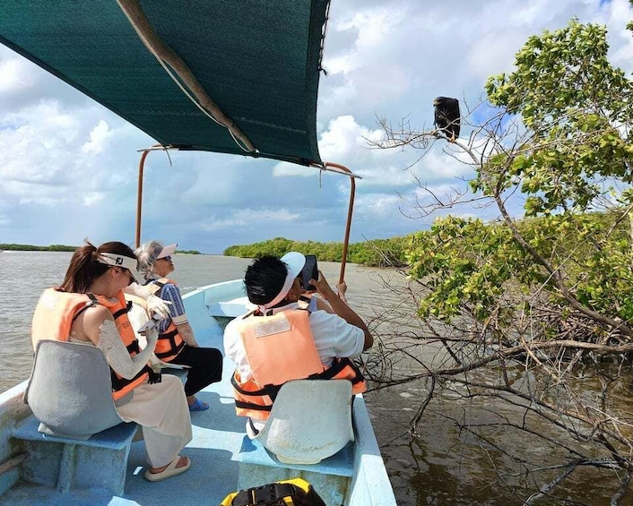 People on a boat near a mangrove area. 3