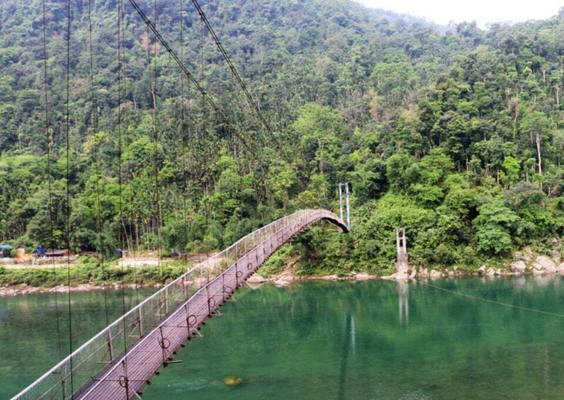 A suspension bridge over a river, surrounded by dense forest. 5