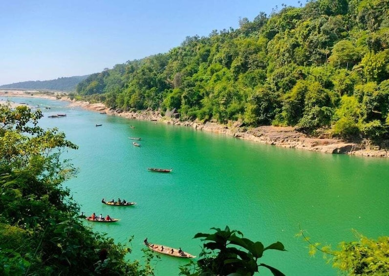 A river with boats and dense green forest on the banks. 4