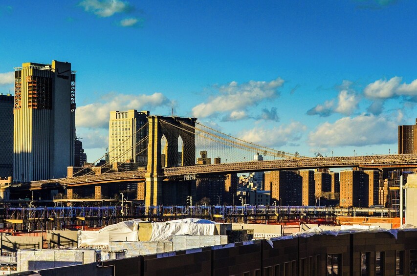 New York City Half Day Dumbo to City Hall Walking Tour   1